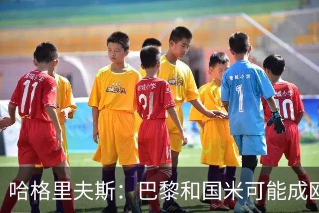 哈格里夫斯：巴黎&国米可能成欧冠黑马